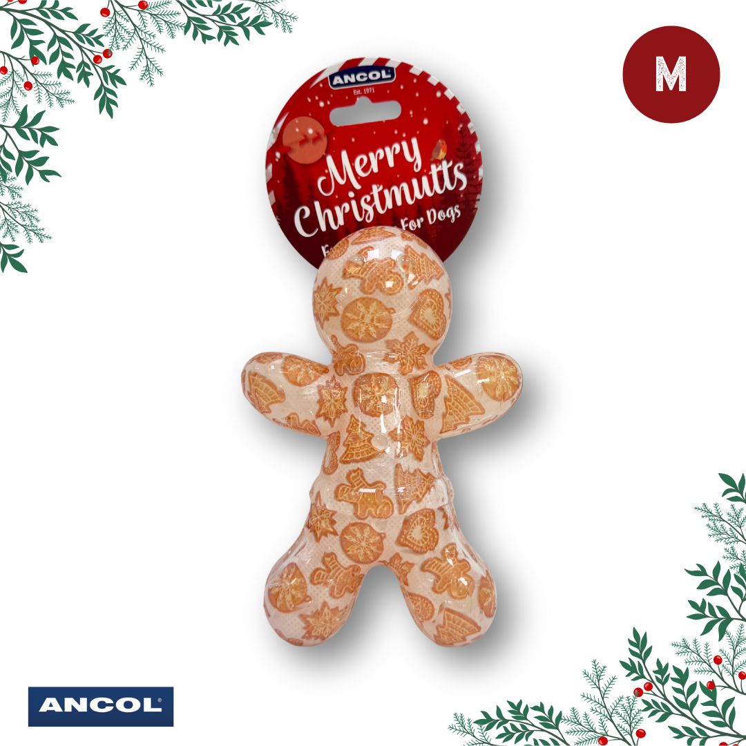 Ancol Christmas Toy Mystery Box