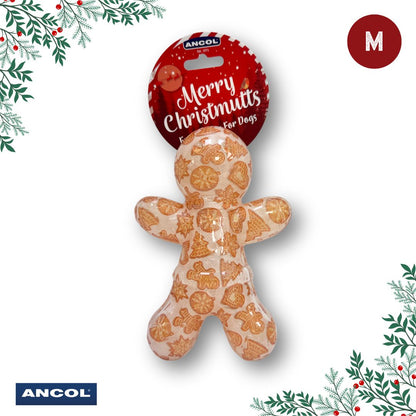 Ancol Christmas Toy Mystery Box