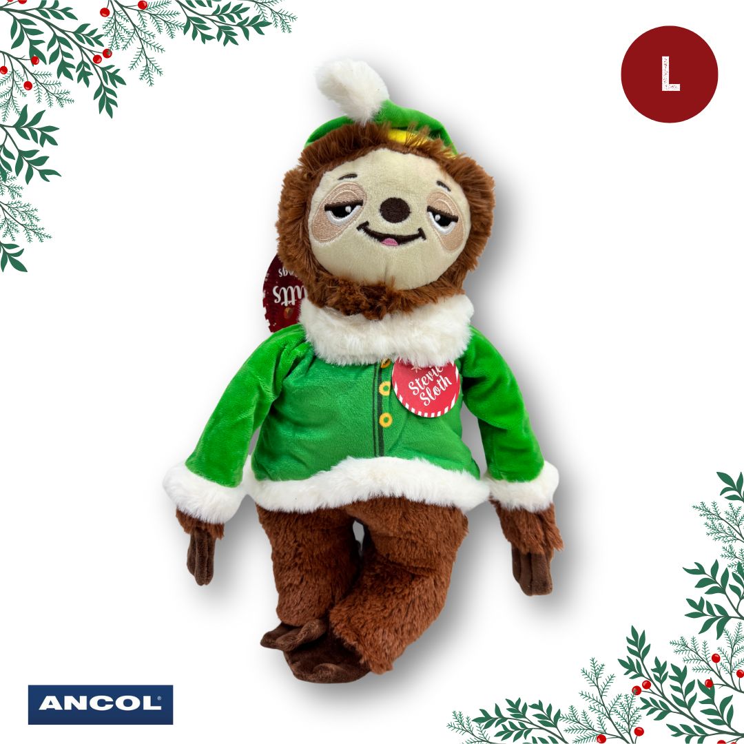 Ancol Christmas Toy Mystery Box