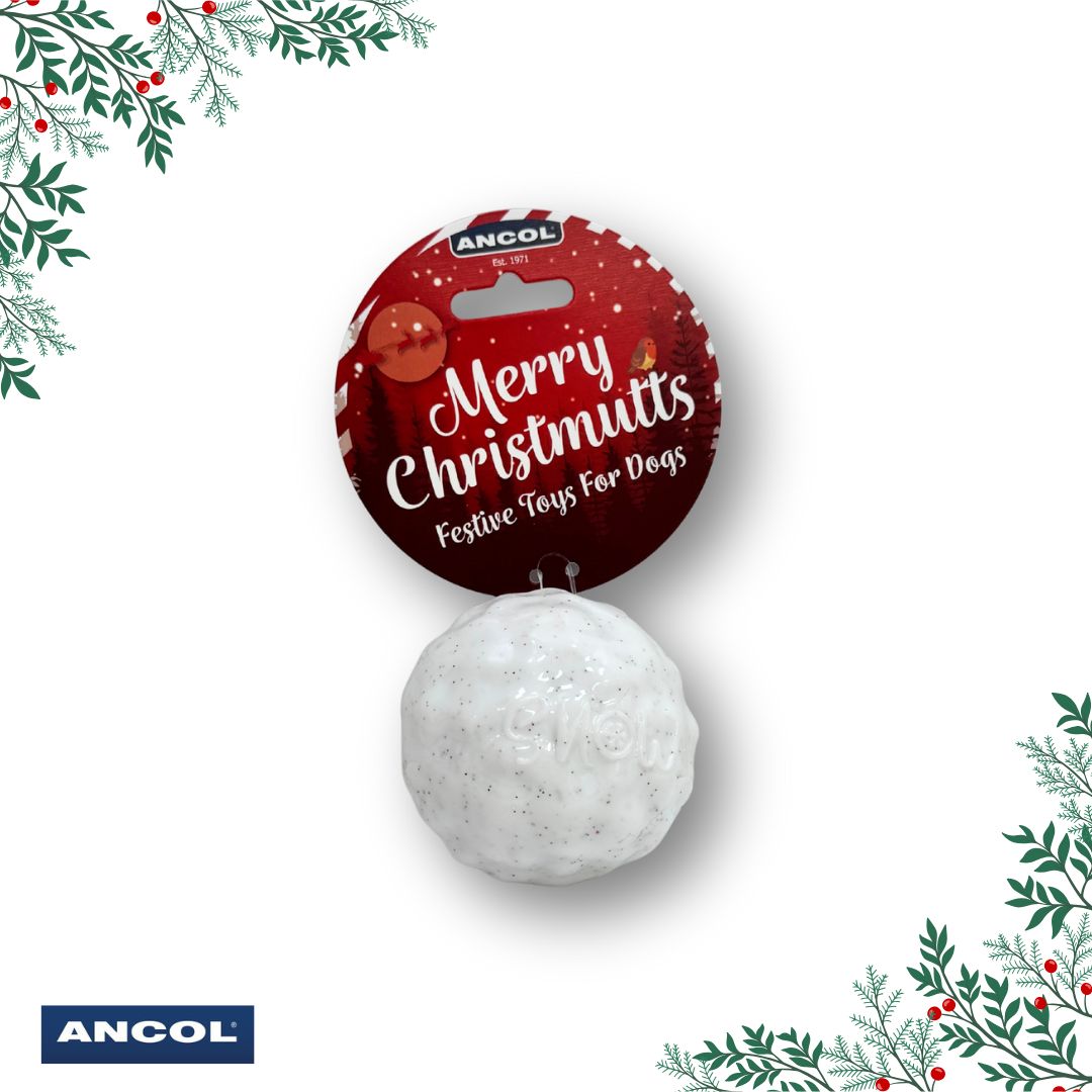 Ancol Bouncy Snowball
