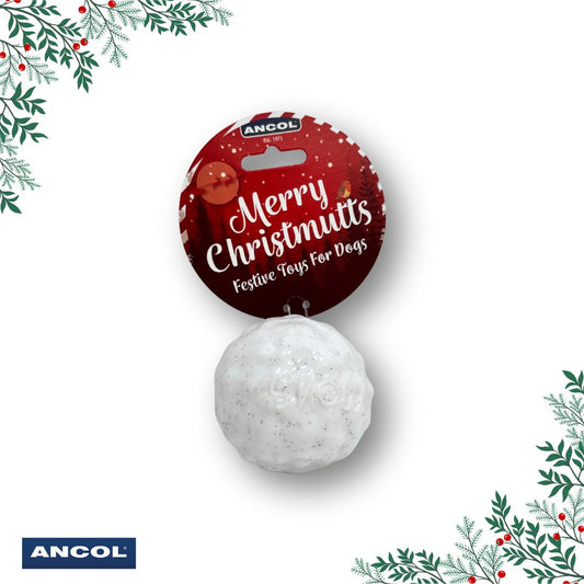 Ancol Bouncy Snowball