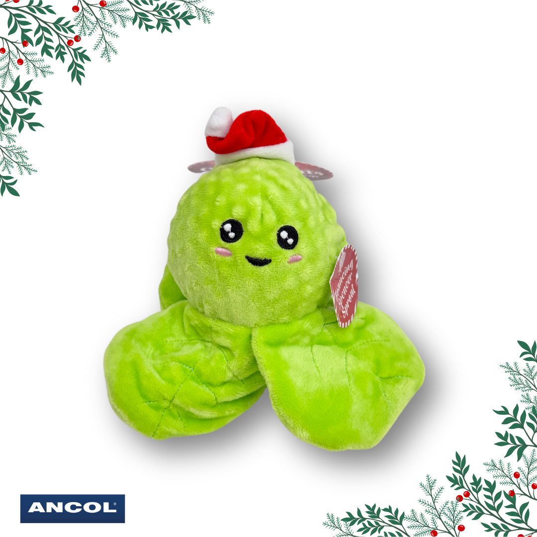 Ancol Bouncing Spencer Sprout