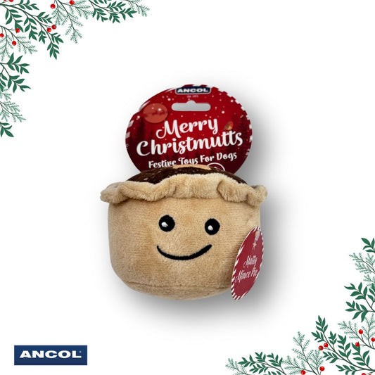 Ancol Matty Mince Pie