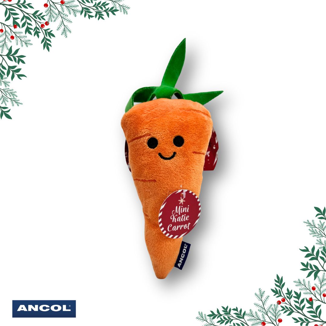 Ancol Katie Carrot