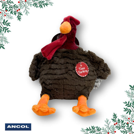 Ancol Tina Turkey