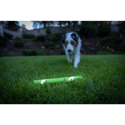 dog with chuckit max glow stick