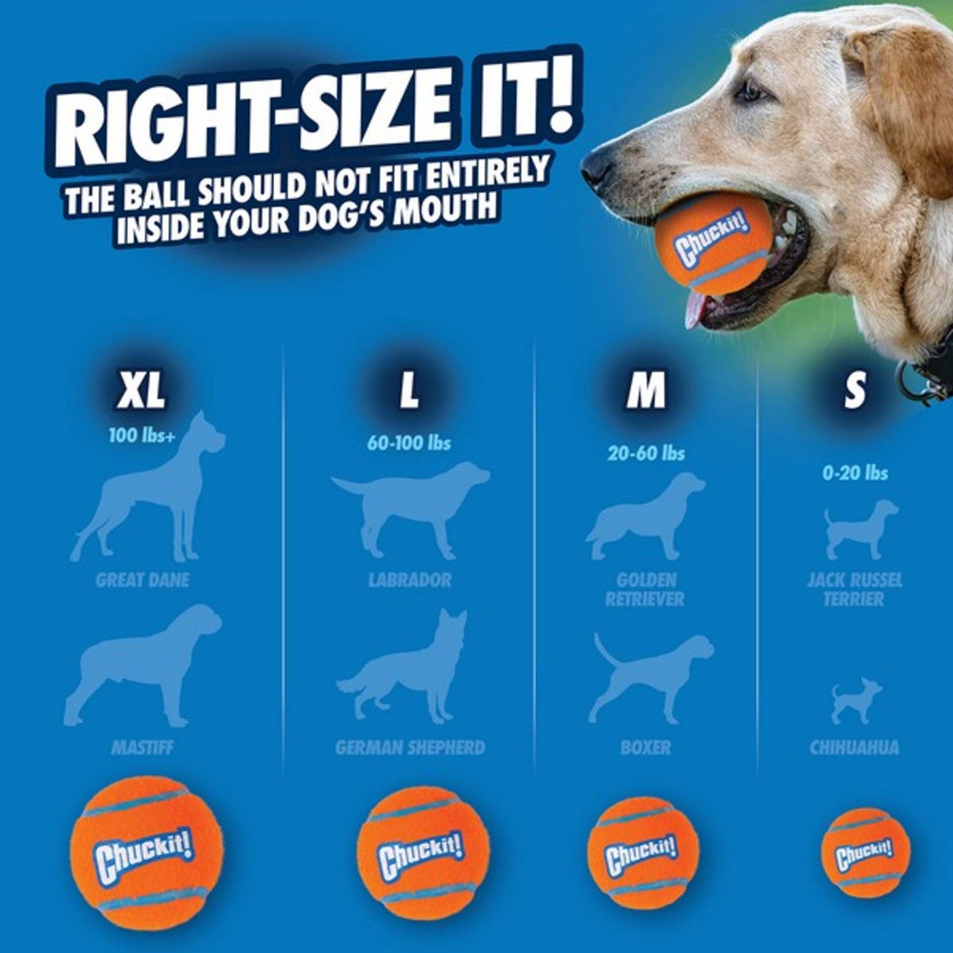 Chuckit! tennis ball size chart