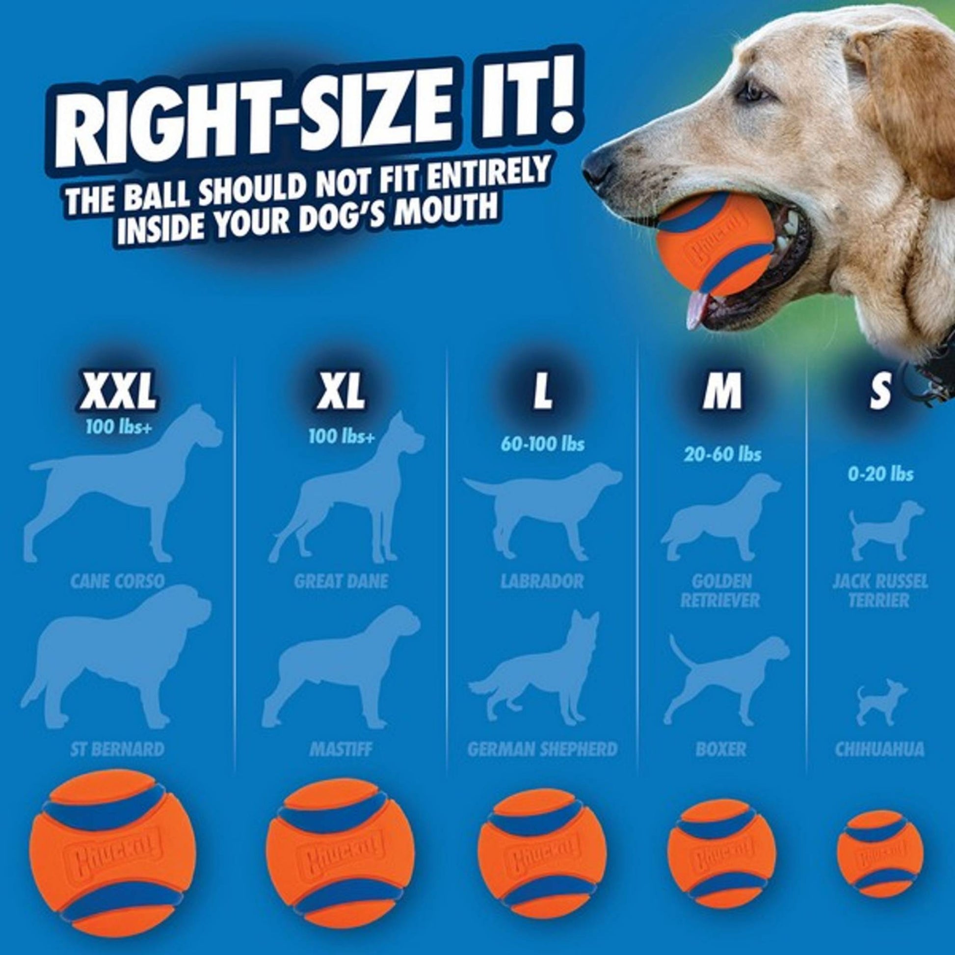 Chuckit ultra ball size chart