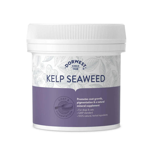 Dorwest Herbs Kelp Seaweed