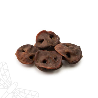 Dried pig snouts for dogs