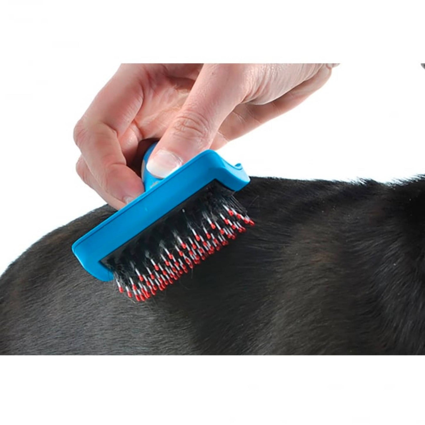 Ancol Ergo Hedgehod Slicker Brush for grooming