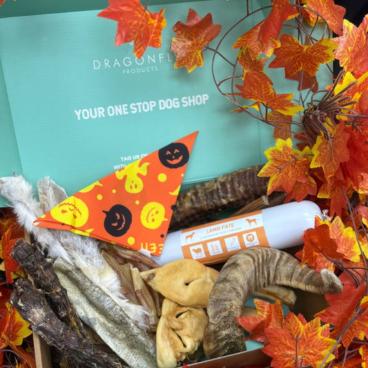 Halloween Trick or Treat Variety Box (LIMITED EDITION)