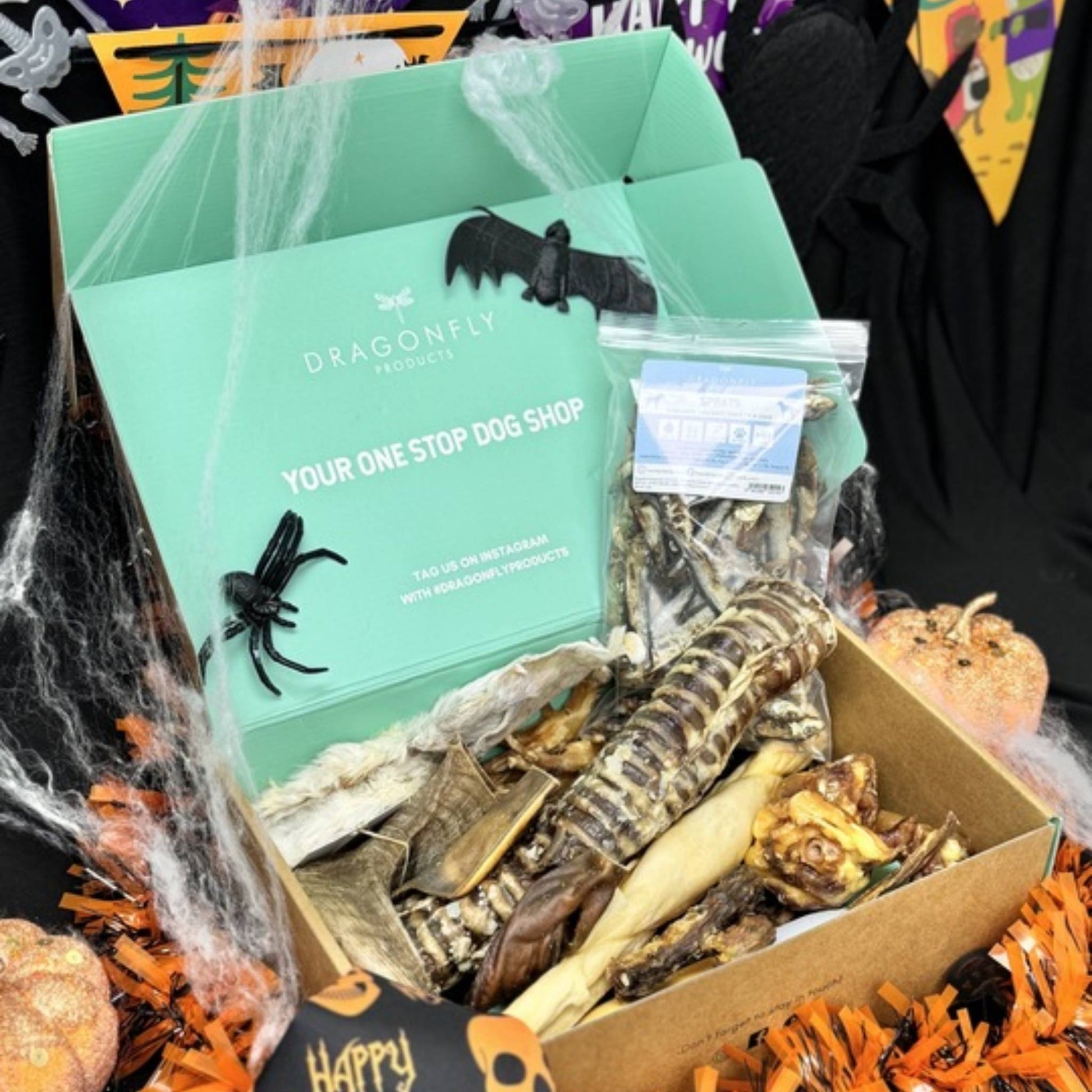 Halloween Treat Box showing contents