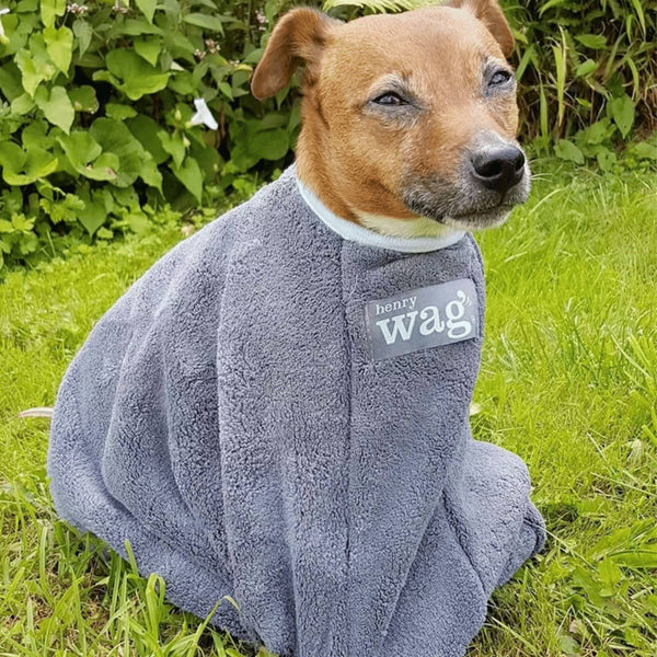 Henry Wag Microfibre Dog Drying Bag Dragonfly Products
