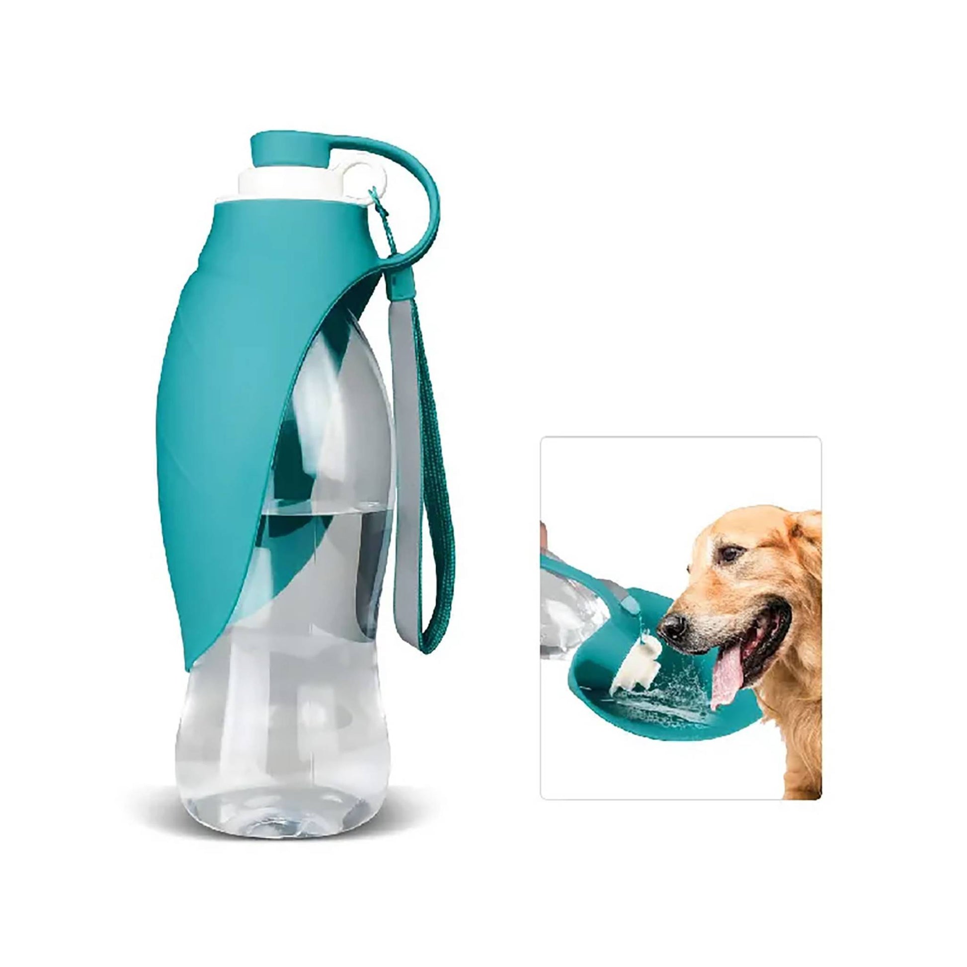 dog drinking from bottle