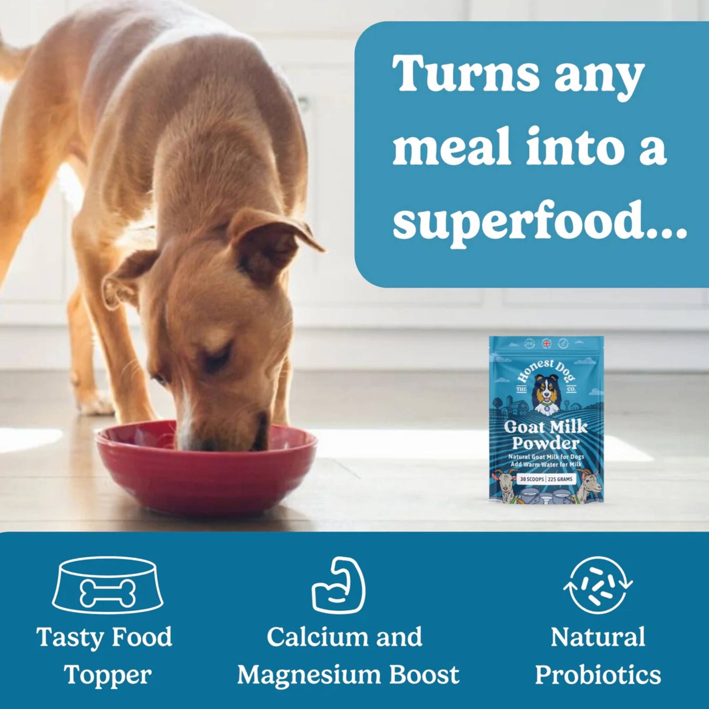 honest dog co goat milk powder packet benefits