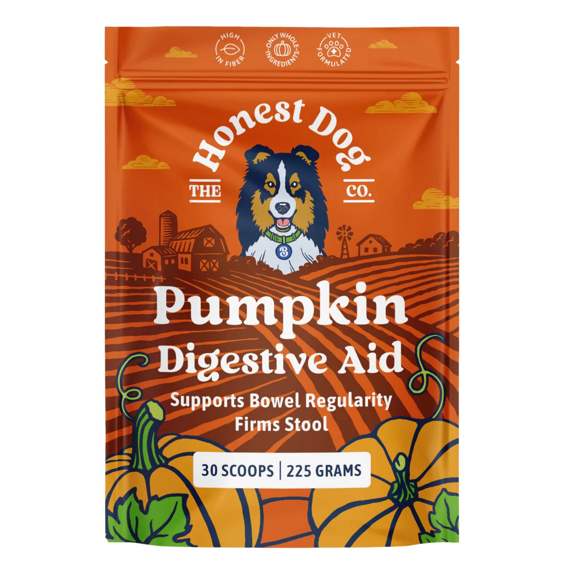 honest dog co pumpkin powder packet front