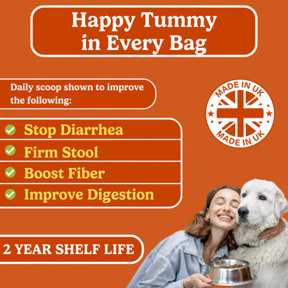 honest dog co pumpkin powder packet benefits