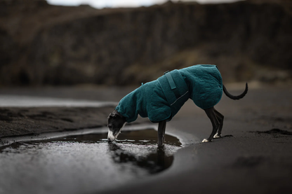 Non-Stop Dogwear Drying Coat
