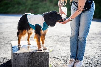 Non-Stop Dogwear Cooling Pull-on Vest