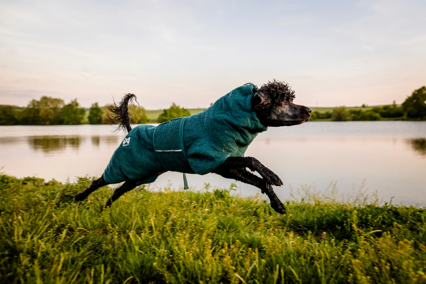 Non-Stop Dogwear Drying Coat