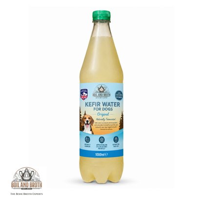 Boil & Broth Kefir Water