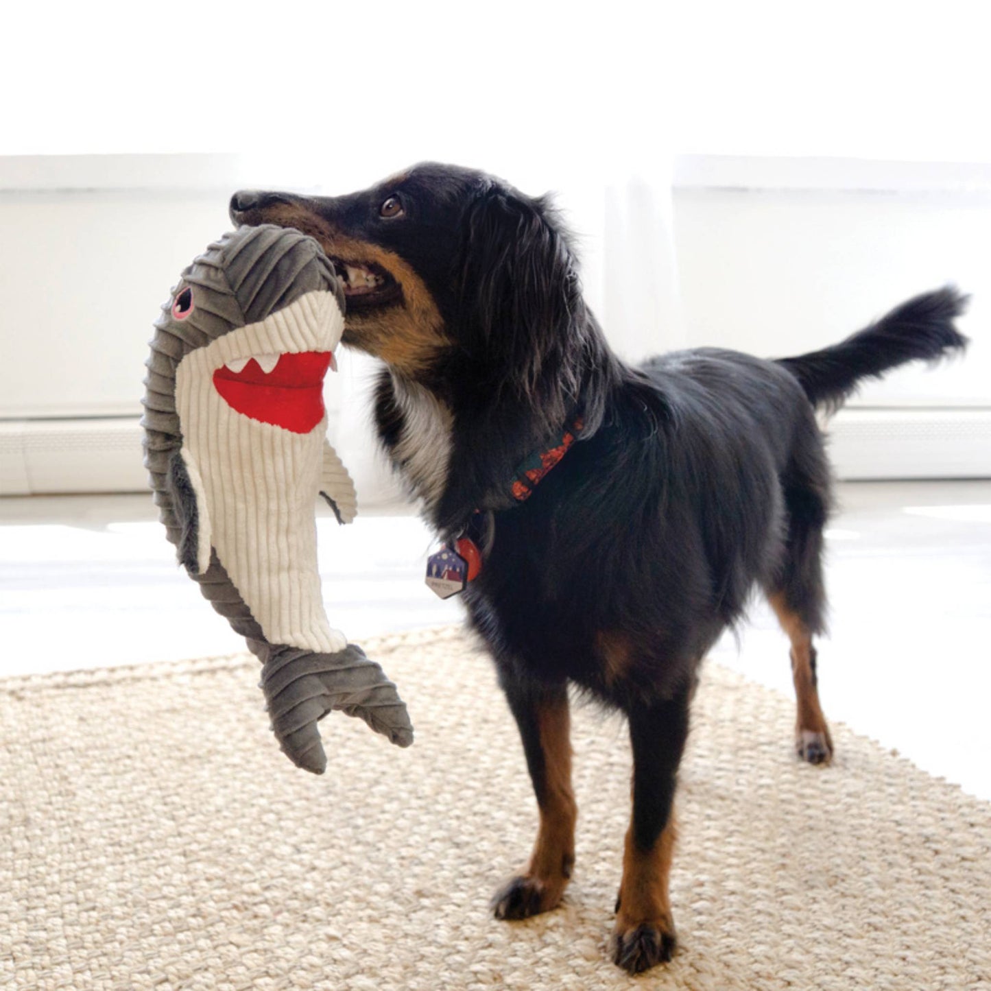 dog with kong cuteseas whale rufflez toy