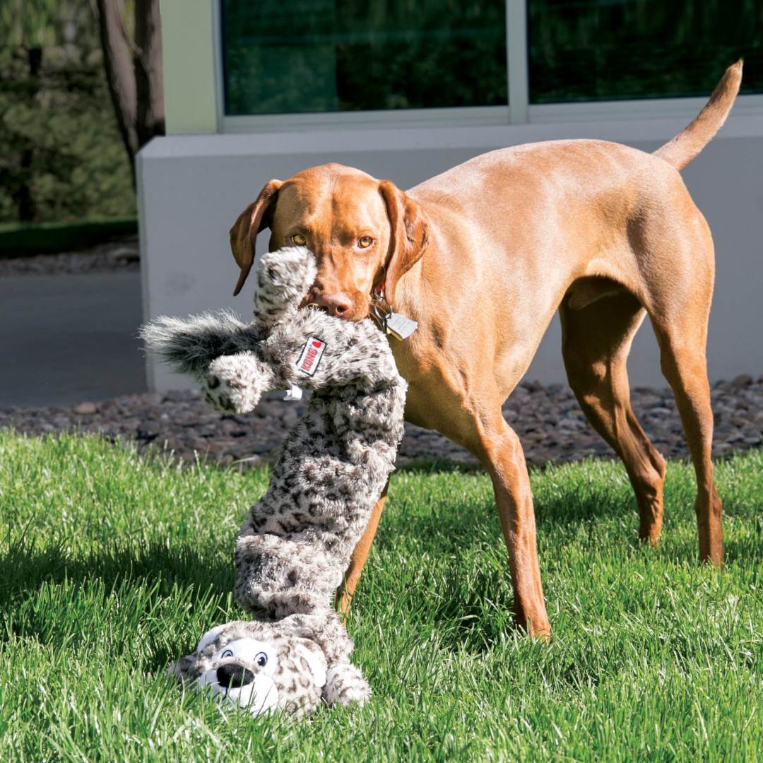kong stretchezz jumbo snow leopard with dog