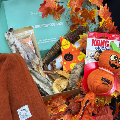 Halloween Trick or Treat Variety Box (LIMITED EDITION)