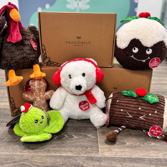 Ancol Christmas Toy Mystery Box