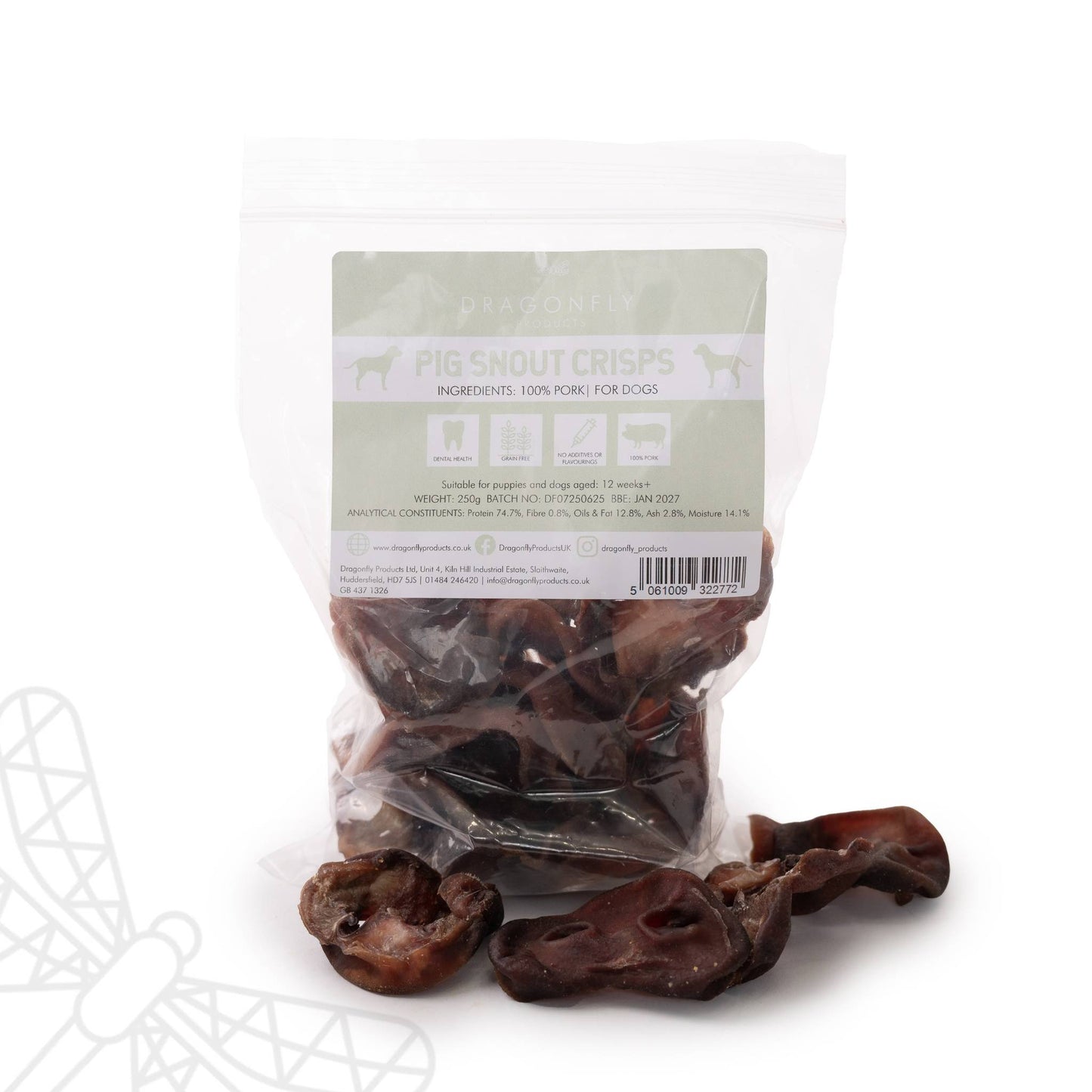 pig snout dog treat