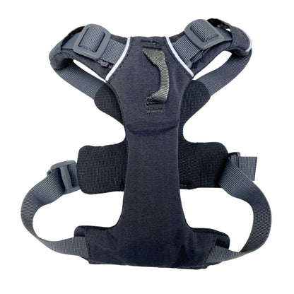 back of harness