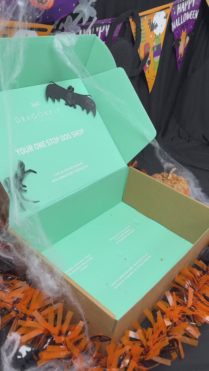 Halloween Trick or Treat Variety Box (LIMITED EDITION)