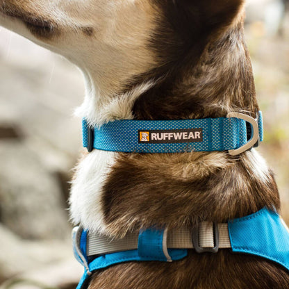 Ruffwear Hi & Light Lightweight Dog Collar