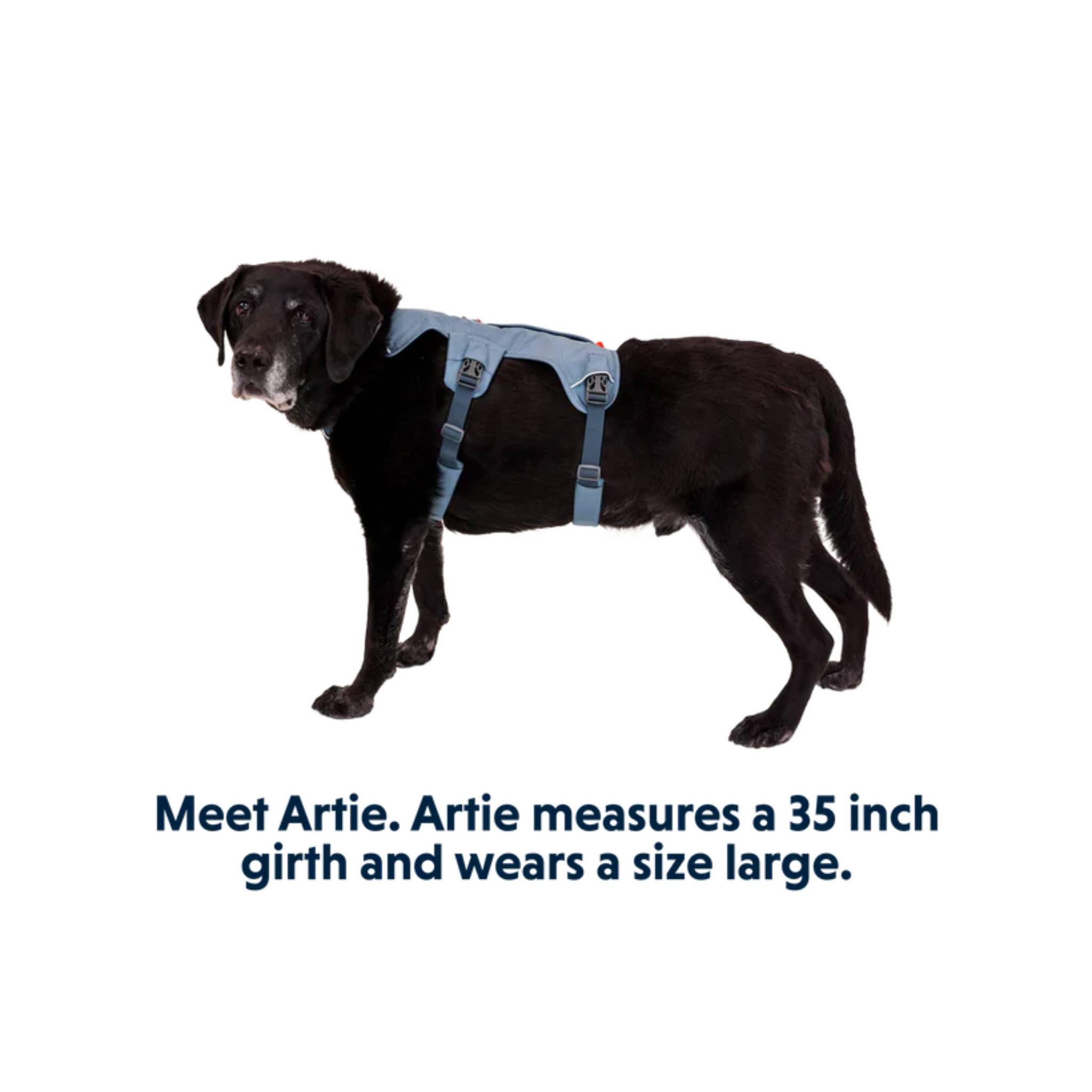 Ruffwear Web Master Harness Slate Blue M