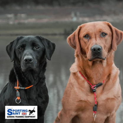 Sporting Saint Pro Slip Collar