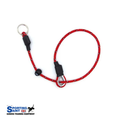 Sporting Saint Pro Slip Collar