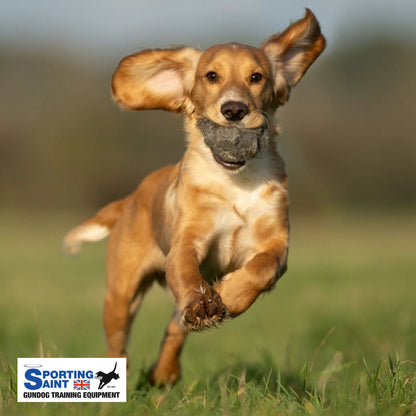 Sporting Saint Rabbit Ball Natural Dog In Mouth