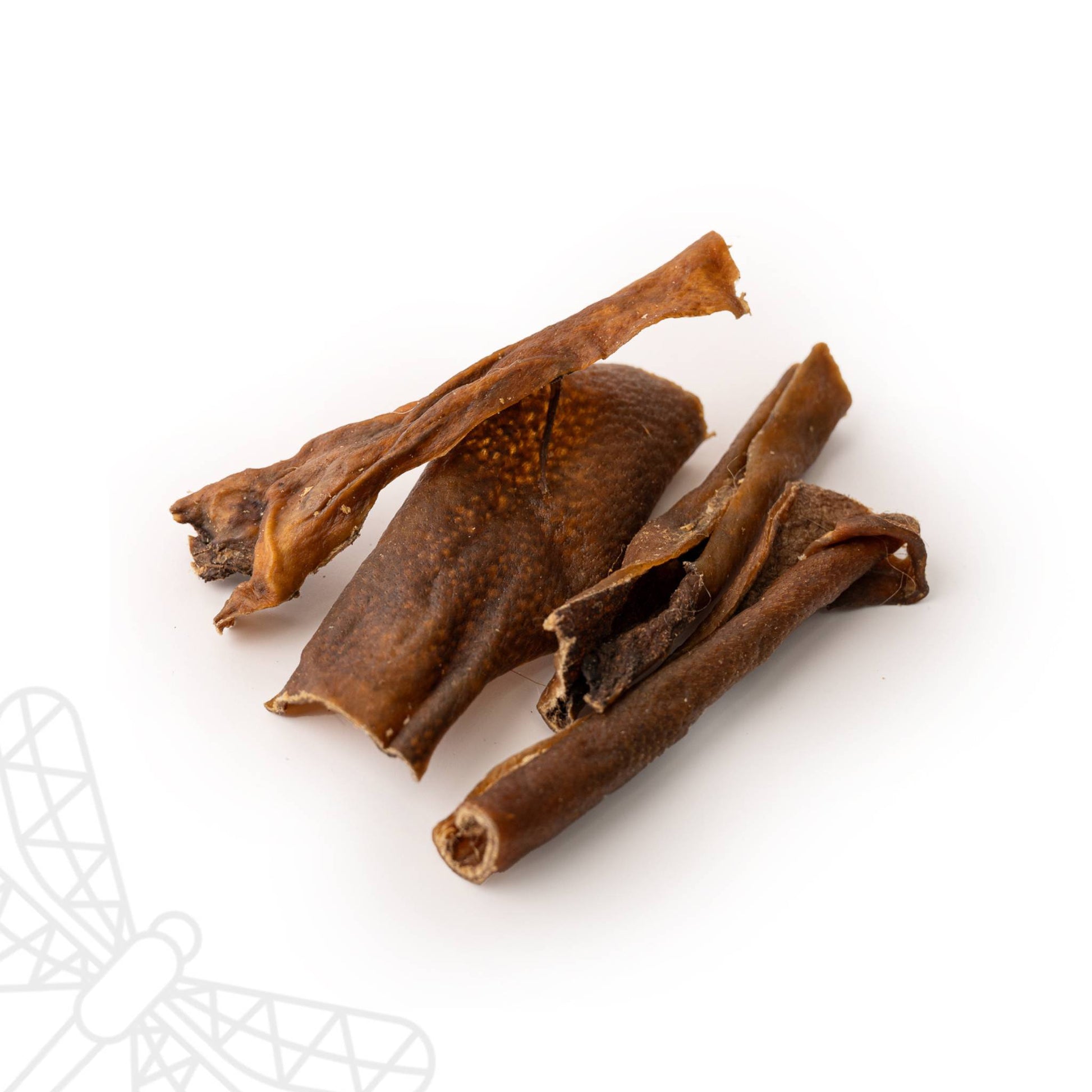 Natural wild boar hide chew for dogs