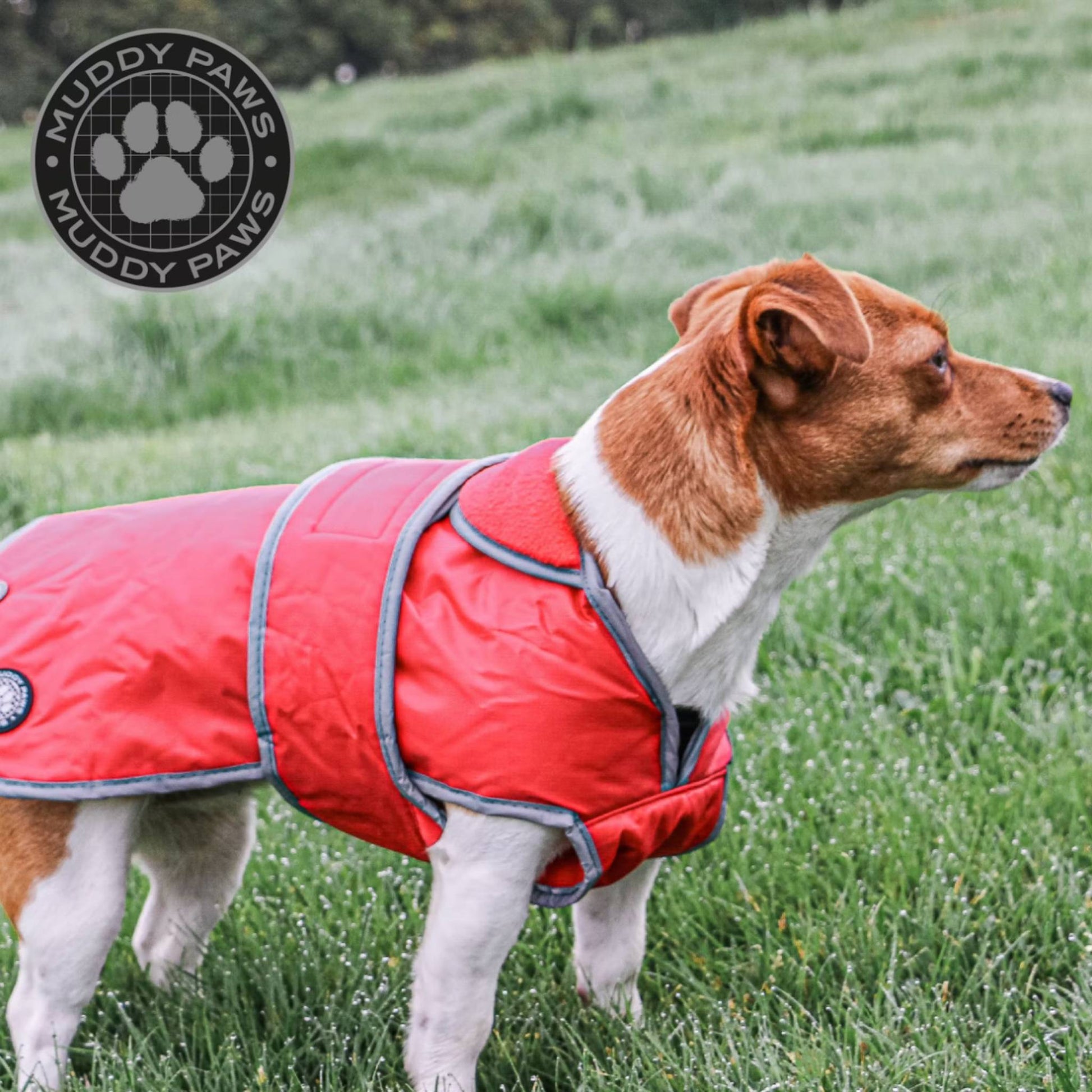 Ancol Muddy Paws Stormguard Dog Coat Dragonfly Products