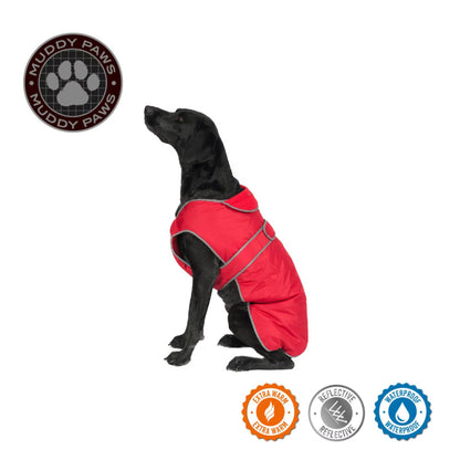 Ancol Muddy Paws dog coat in red.