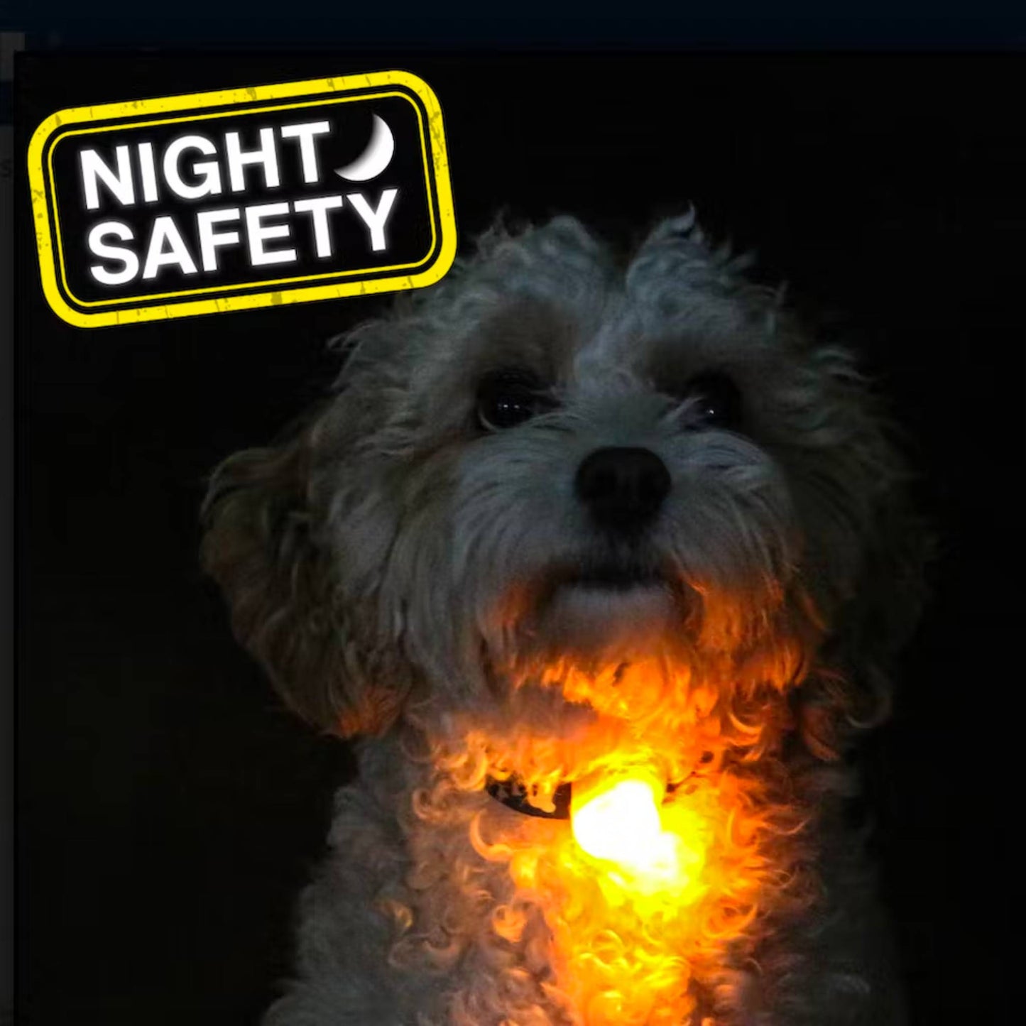 Orange blinker shown switched on and attached to dogs collar in the dark.