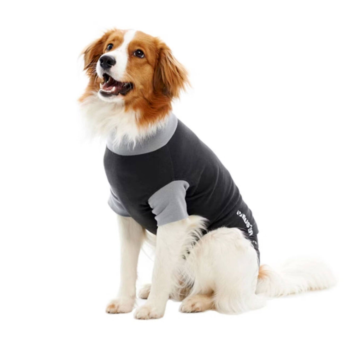 Dog operation recovery suit