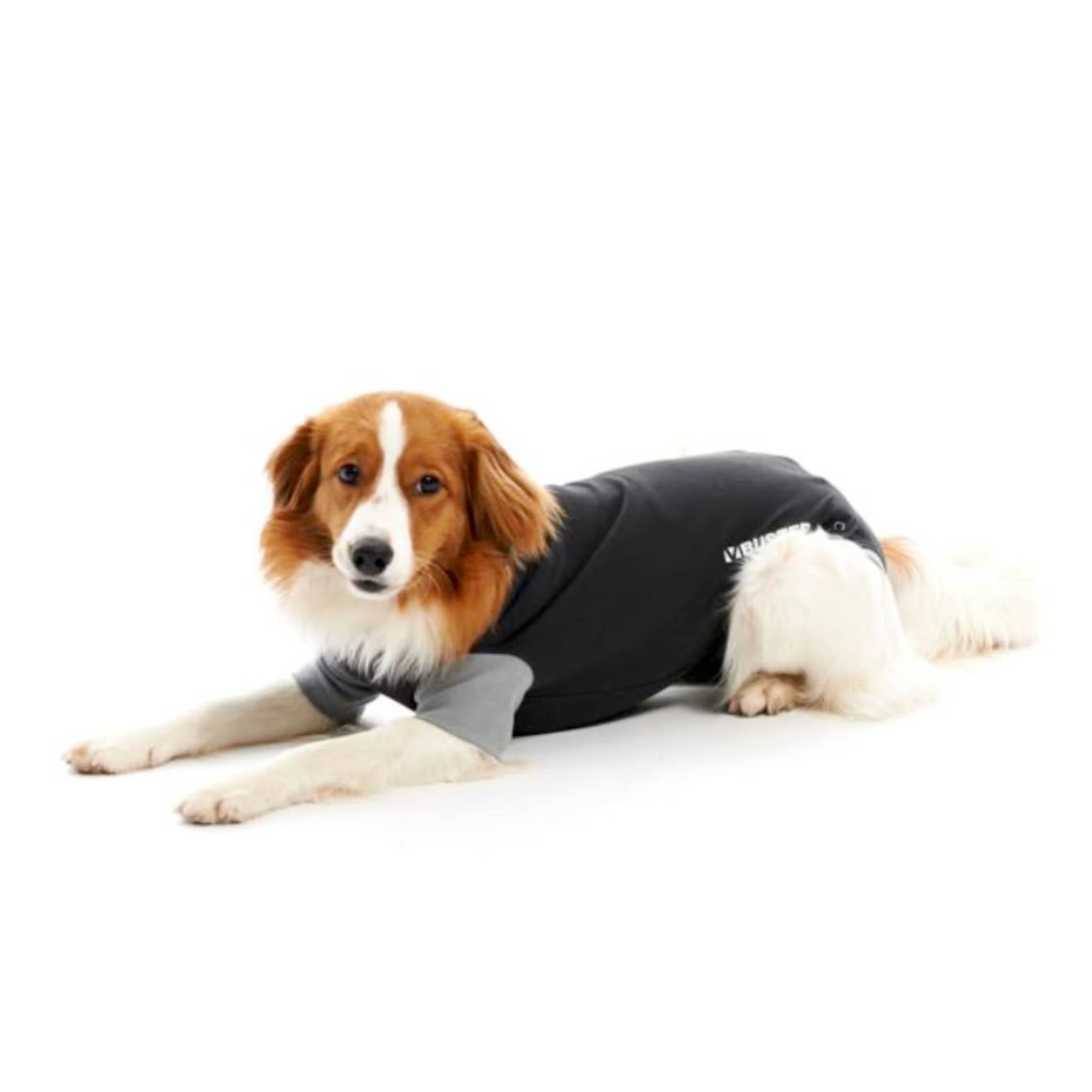 Dog clothes to stop hot sale scratching