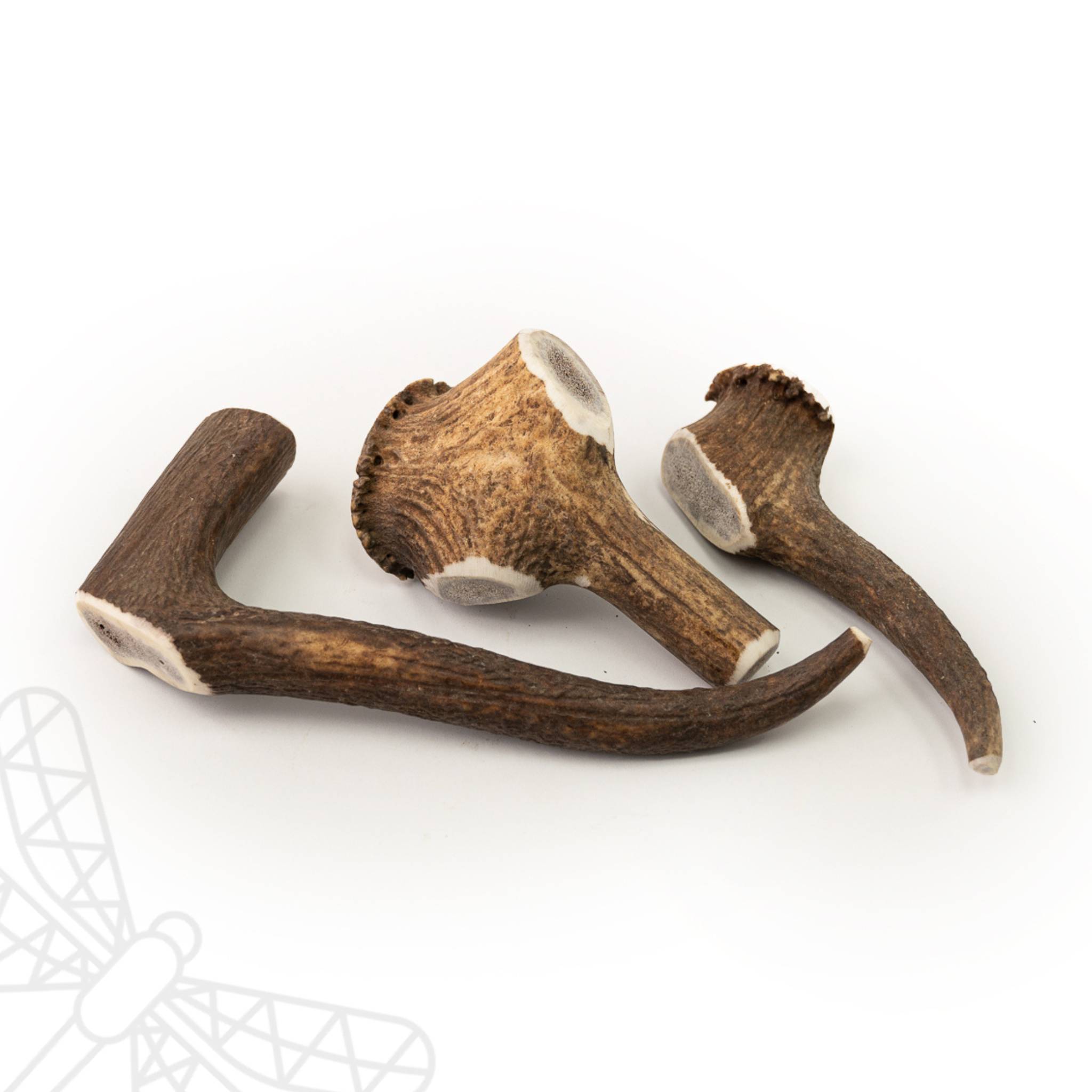 1.75 Pounds 6 Large DENSE Whole REAL order Deer Antler Dog Chews Organic Dental Treat for Dogs Toy Naturally Shed Keep Your Dog Busy for Hours!