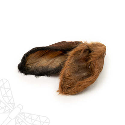 Buffalo ears with fur natural dog chew
