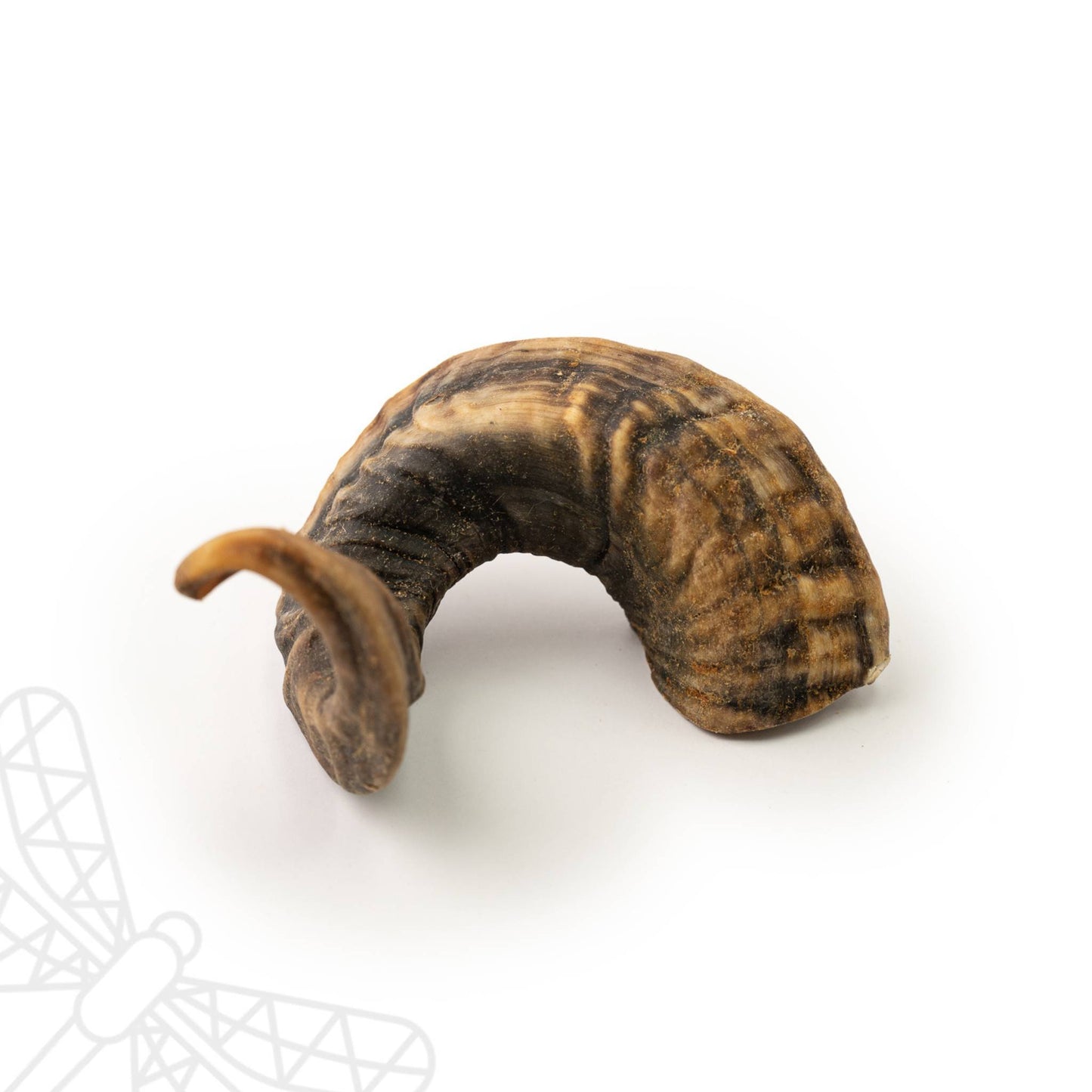 Lamb Horn for aggressive chewers