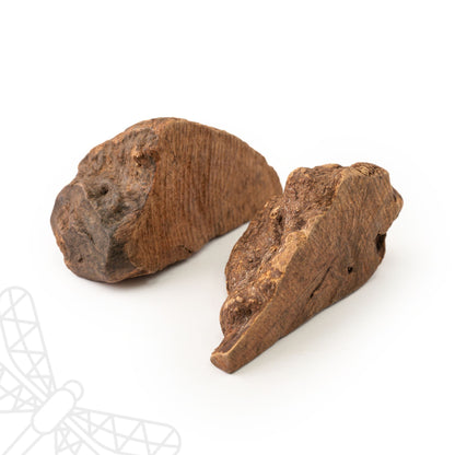 Natural chew root for dogs