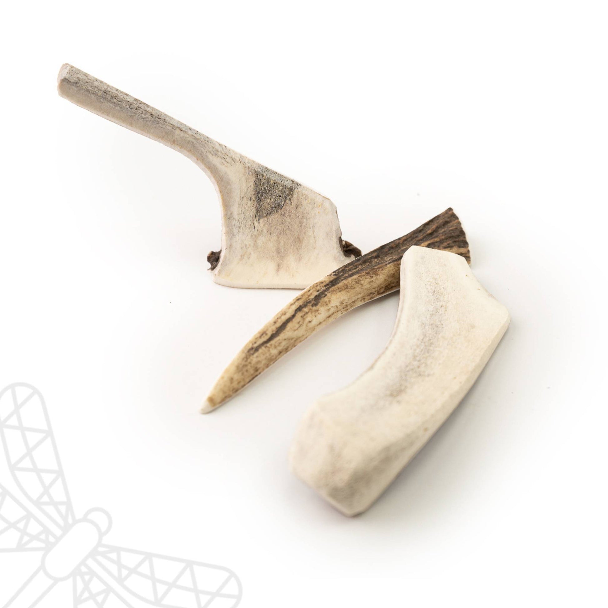 Split Deer Antler S - Main Image