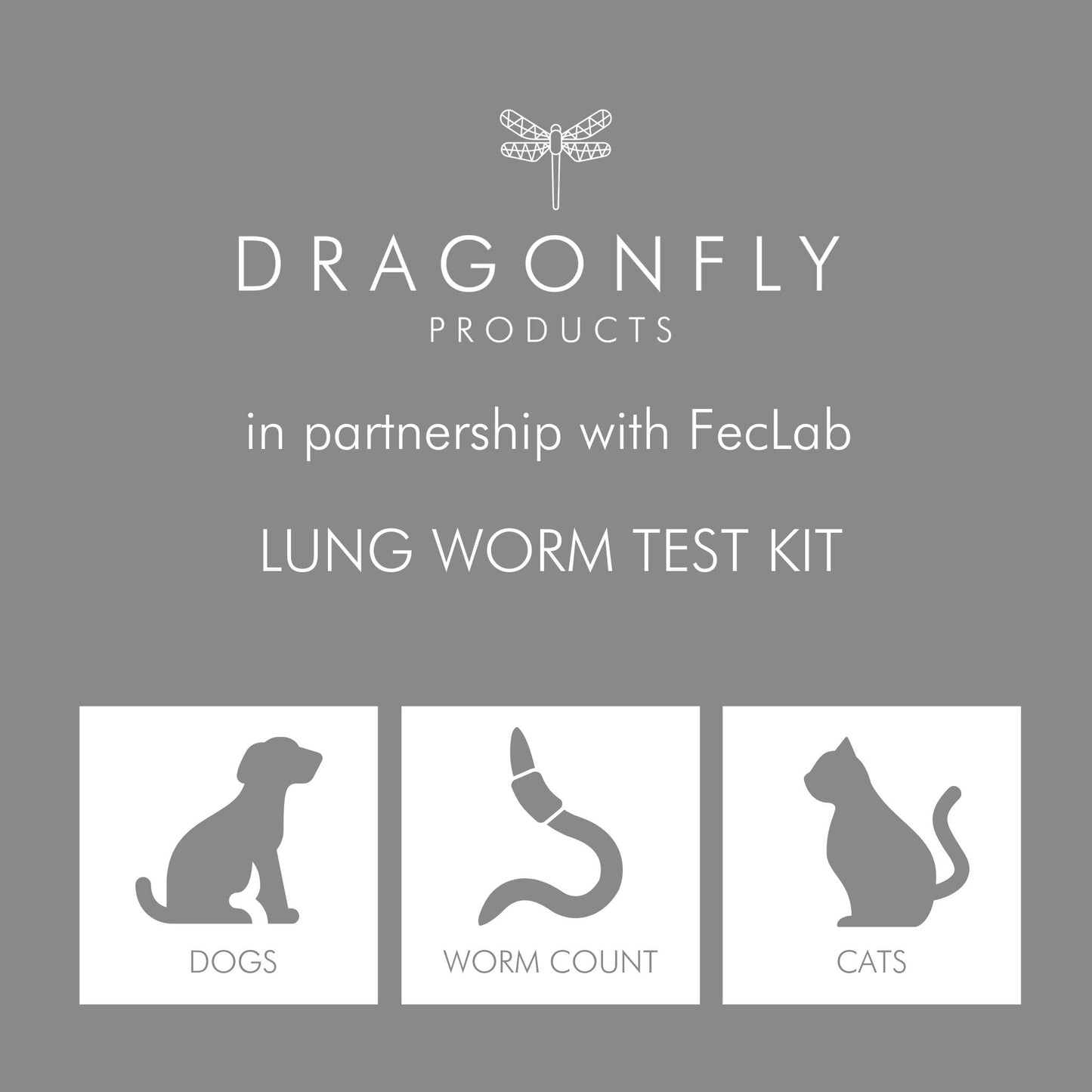 Lung worm test kit for dogs